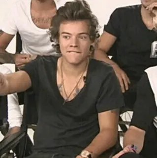 🐰 9862f996 Harry Styles Harry Styles, piosenkarz, celebryta, mężczyzna, portret whatsapp sticker