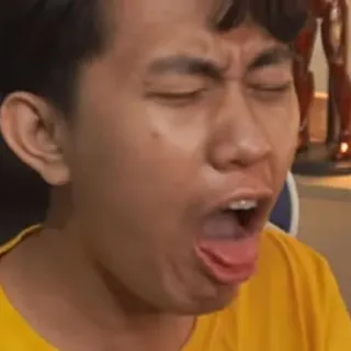 ➿ 073ffb17 밈, 웃긴, 얼굴, 표정 whatsapp sticker