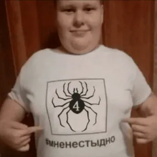 🌟 1a0bf652 #мненестыдно Spinne, T-Shirt, Russisch, Text, Quadrat telegram sticker