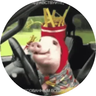 🍖 fdbb2d41 здравствуйте, Schwein, Pommes, lustig, Tier, fahren, Auto telegram sticker