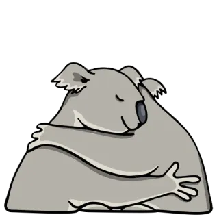 🐨 6dd107f0 koala, przytulanie, zwierzę, słodki, śpiący telegram sticker