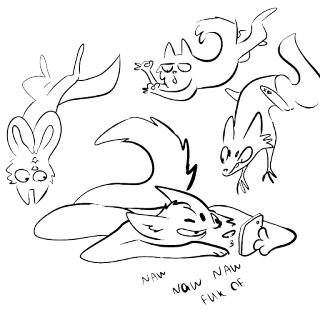 😕 b8003b08 NAW NAW NAW FUK OF chat, offensant, dessin animé, animaux, impoli, gros mot whatsapp sticker