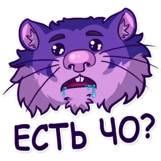 🤤 c2381c75 ЕСТЬ ЧО? chuột hamster, dễ thương, câu hỏi, thức ăn, đói, gặm nhấm, mắt telegram sticker