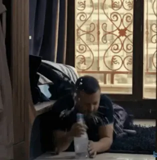 🦅 85d3d112 telegram sticker