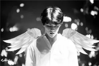 😇 832f6c3f ангел, крылья, свет, портрет, духовный, черно-белый telegram sticker