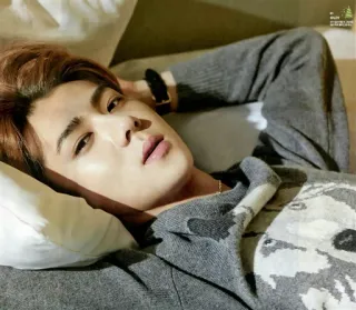 😈 fab6cf06 мужчина, лежа, свитер, портрет, внутри telegram sticker