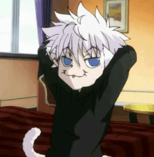 😀 7e2b6880 Killua Zoldyck Hunter x Hunter anime, killua, hunter x hunter, cat, cartoon whatsapp sticker