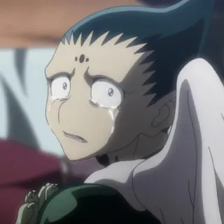 😭 107f0a5d Gon Freecss Hunter x Hunter animé, pleurer, triste, garçon, Gon telegram sticker