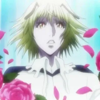 🥵 8053d060 Pitou Hunter x Hunter Anime, Méchant, Rose, Nen, Garde Royale telegram sticker