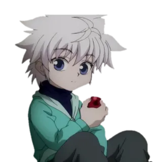 @stikersw_w hunter x hunter telegram stickers