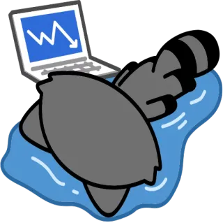 😭 706fccca procione, laptop, annegamento, acqua, finanza, borsa, meme, divertente telegram sticker