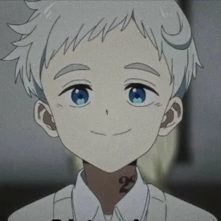 💫 3ca309cb Norman The Promised Neverland Did you lie? Anime, The Promised Neverland, Norman, Karakter, Stiker telegram sticker