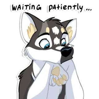 😕 fbaa16f0 WAITING PATIENTLY... zwierzę, czekanie, cierpliwy, pies, słodki, wilk telegram sticker