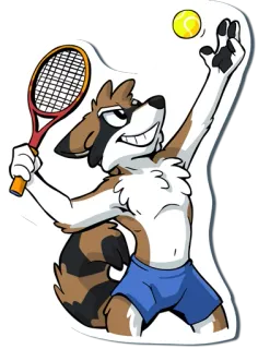 🎾 6e721837 Tennis, Procione, Sport, Animale, Palla, Racchetta da tennis, Cartone animato, Peloso telegram sticker