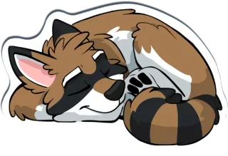 😴 9e30a437 procione, animale, dormire, carino, cartone animato, peloso, pigro telegram sticker