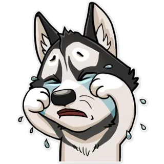 😭 5a1ec4b5 หมา, ร้องไห้, ไซบีเรียน, เศร้า, สัตว์, อารมณ์ telegram sticker