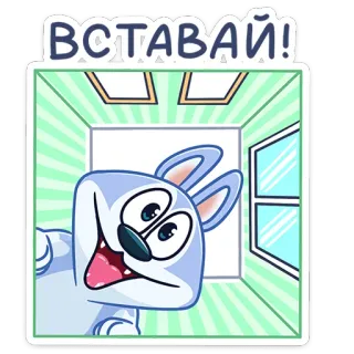👋 e947afbe ВСТАВАЙ! cartoon, rabbit, russian, wake up, animal telegram sticker
