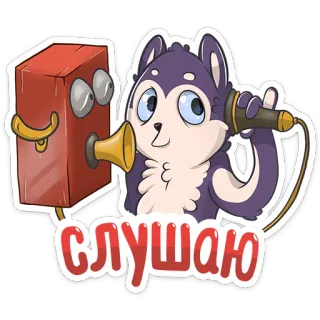 👂 367a41ee Слушаю Hund, zuhören, Ohr, sprechen, Box, Ton telegram sticker