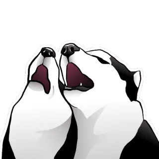 Husky memes telegram stickers