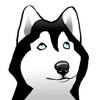 🙄 347e84be 哈士奇, 狗, 宠物, 动物 telegram sticker