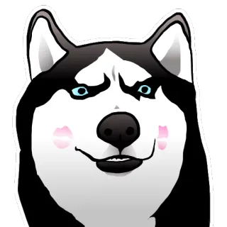 💋 addb83c7 狗, 哈士奇, 坏笑, 动物, 可爱 telegram sticker