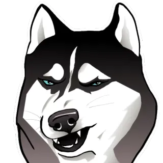 😤 d3f3862f 哈士奇, 狗, 坏笑, 动物, 表情包 telegram sticker