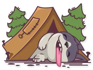 🏕 fe098045 camping, chien, tente, husky, mignon, dormir, forêt, fatigué telegram sticker