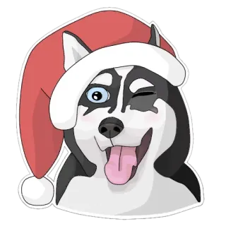 🎅 2a5621af 狗, 动物, 圣诞节, 圣诞帽, 可爱, 卡通, 节日, 哈士奇 whatsapp sticker