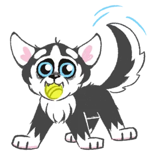 Husky telegram stickers