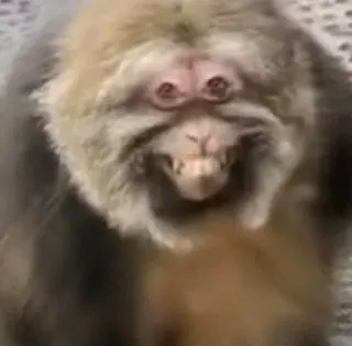 Больше стиков тут: @stikery4 whatsapp stickers