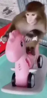 🏍 b8458202 monyet, mainan, hewan, merah muda, imut, kendaraan, lucu whatsapp sticker