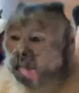 😋 ff7c05e1 whatsapp sticker