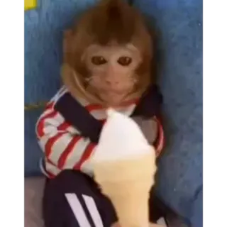 🍦 fff20032 monyet, es krim, binatang, lucu, manis, makanan whatsapp sticker