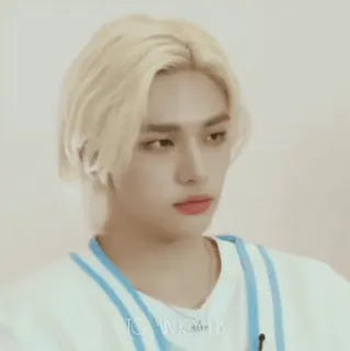 🪡 a874d637 telegram sticker