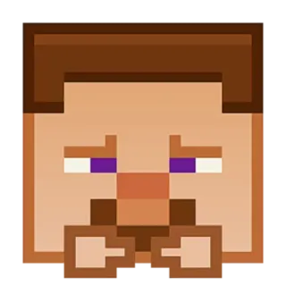 🙌 7a821c44 Steve Minecraft Minecraft, Steve, Videospiel, Pixelkunst, Quadrat telegram sticker
