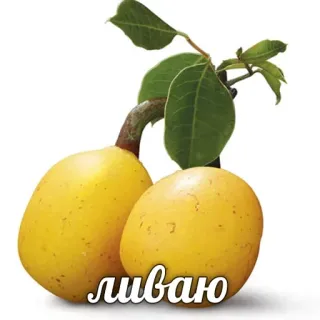 Hype Food • @TgStickery whatsapp stickers