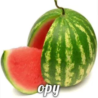 😂 275f765b opy semangka, buah, makanan, sehat, manis, segar, irisan telegram sticker