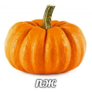 🙏 3210b4ca ПЖС labu, sayur, oranye, musim gugur, musim gugur, panen telegram sticker