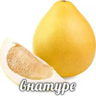 🧐 364595ad Внатуре buah, jeruk bali, jeruk, makanan telegram sticker