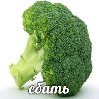 Hype Food • @TgStickery whatsapp stickers