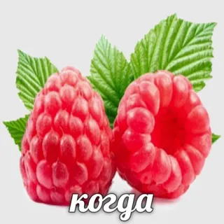 🧐 4e017183 когда raspberry, buah, makanan, beri telegram sticker