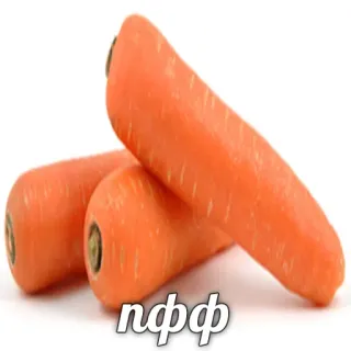 😒 51069c35 пфф wortel, sayur, jeruk, makanan telegram sticker