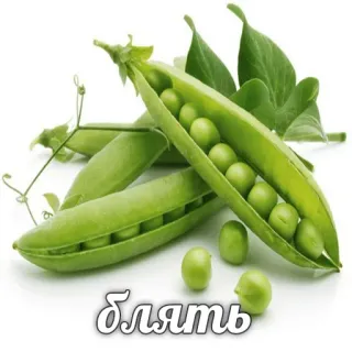 😠 5823b25b Блять kacang polong, sayuran, makanan, hijau, tanaman telegram sticker