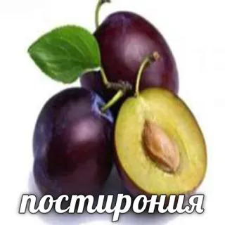 💩 ad767c22 постирония plum, buah, ungu, makanan, pasca-ironi telegram sticker