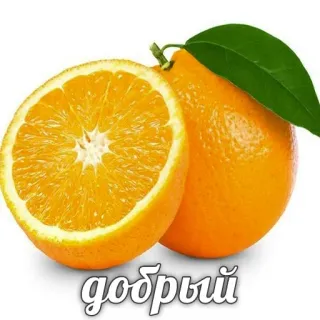 ☺️ ae2e15a8 добрый oranye, buah, jeruk, baik, bagus, makanan, sehat telegram sticker