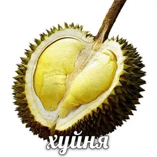 Hype Food • @TgStickery telegram stickers