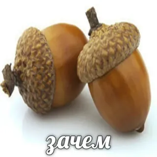 Hype Food • @TgStickery telegram stickers