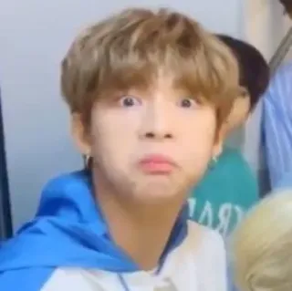 🐹 5f5401ce person, gesicht, ausdruck, porträt, lustig telegram sticker