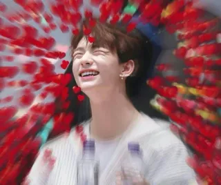 🐹 6701f3cf person, lächeln, glücklich, herzen telegram sticker