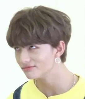 🐹 bfe9e1a8 telegram sticker